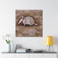 Armadillo Impressionism - Canvas