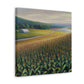 "Corn Field Splendor" - Canvas