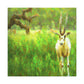 Gazelle in Impressionism - Canvas