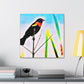 Red-winged Blackbird Glory - Canvas