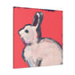 Rabbit in Simplicity - Canvas