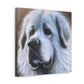 "Proud Pyrenees Portrait" - Canvas