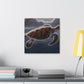 Sea Turtle Symphony - Canvas