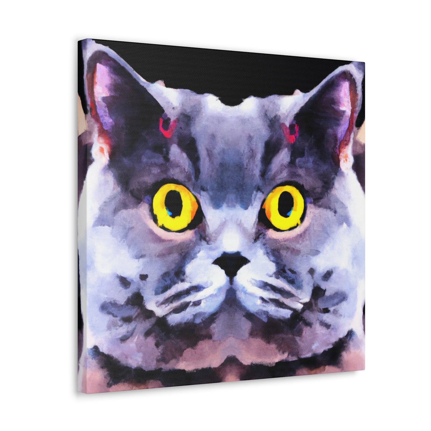 "Cute British Shorthair" - Canvas