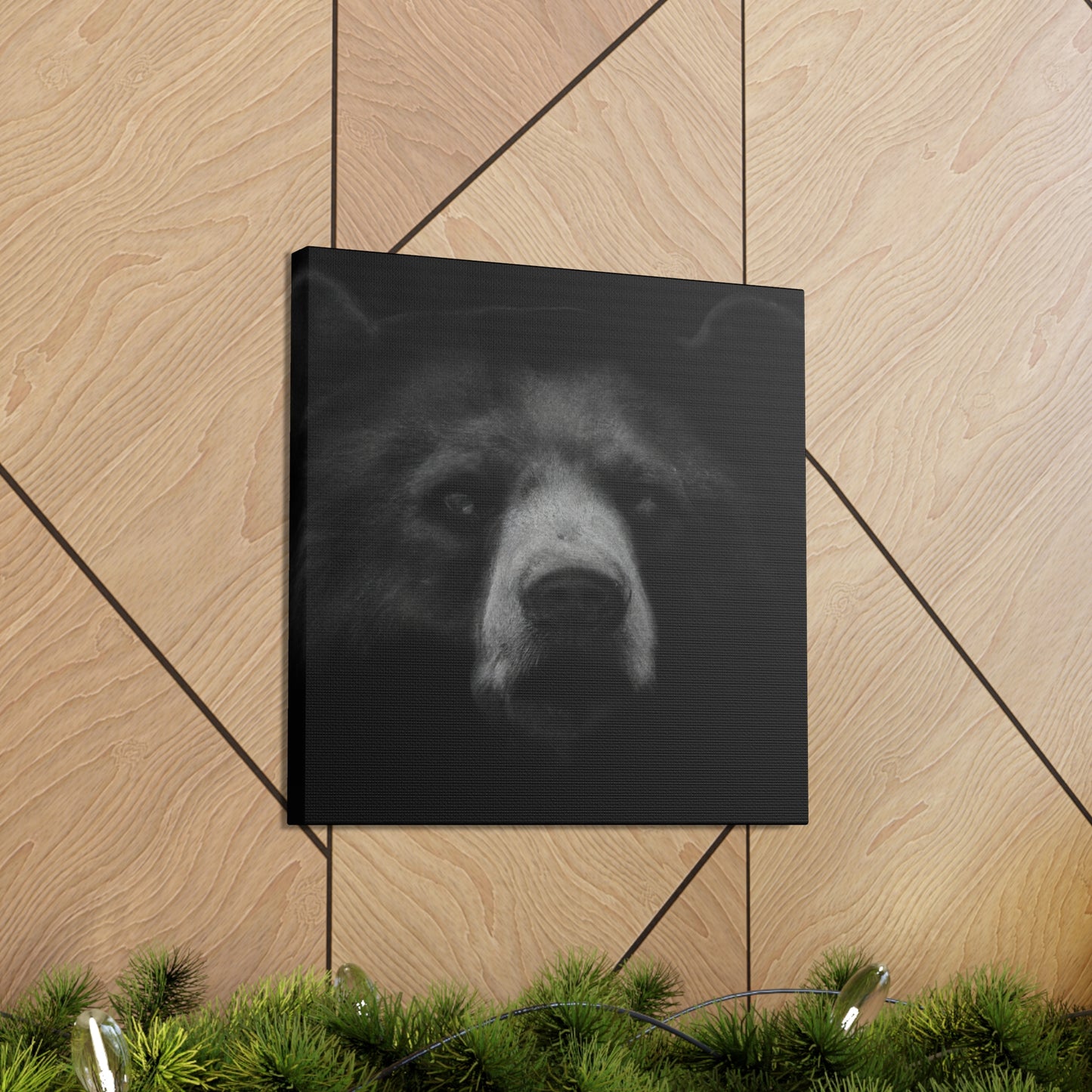 Asiatic Black Bear Gnos - Canvas