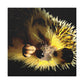 Hedgehog In Autumn Colors - Canvas