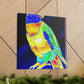 Rainbow Lorikeet Dreaming - Canvas