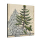 "Pine Tree Immortality" - Canvas