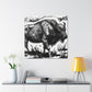 "Bison of the Prairie" - Canvas