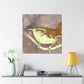 Glorious Carolina Wren - Canvas