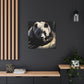 Giant Panda Enchantment - Canvas