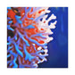 Coral Underwater Splendor - Canvas