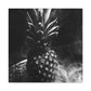 "Pineapple Abstract Splendor" - Canvas