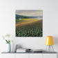 "Corn Field Splendor" - Canvas