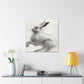 Arctic Hare Winter Scene - Canvas