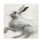 Arctic Hare Winter Scene - Canvas