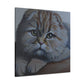 Scottish Folds Purrfection - Canvas