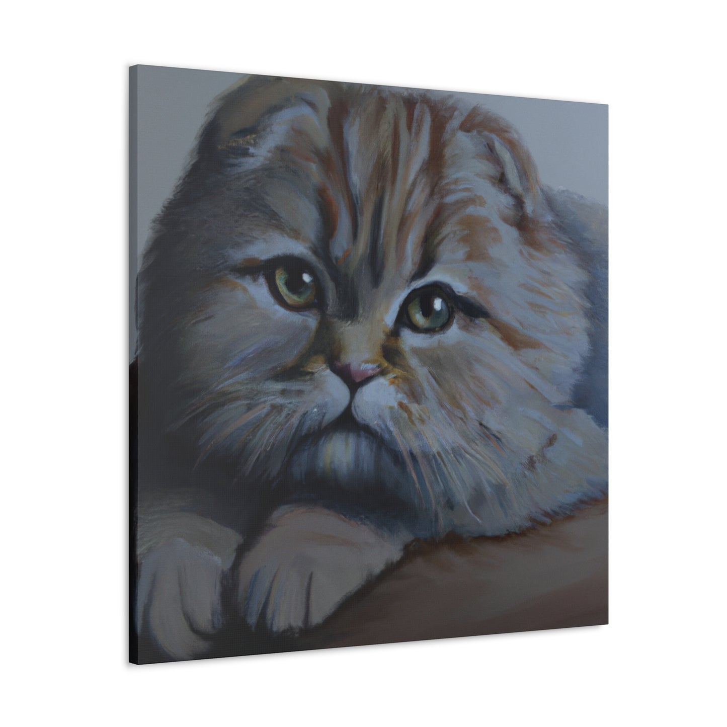 Scottish Folds Purrfection - Canvas