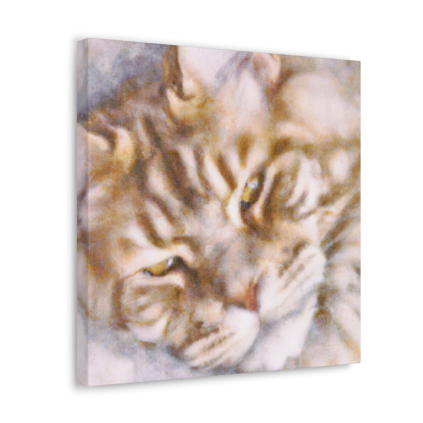 Maine Coon Impression - Canvas