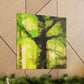 "Beech Tree, Serene Beauty" - Canvas