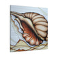 "Sea Shell Symphony" - Canvas