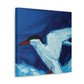 Arctic Tern Expressionism - Canvas