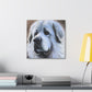 "Proud Pyrenees Portrait" - Canvas