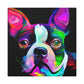 Adorable Boston Terrier - Canvas