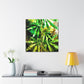 Cannabis Sativa Impression - Canvas