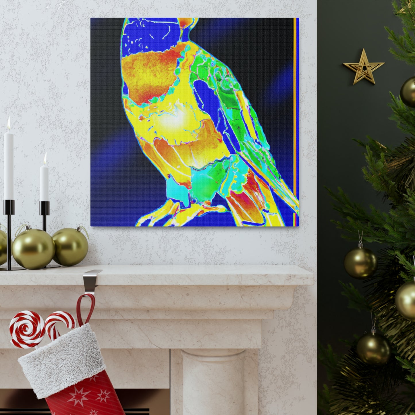 Rainbow Lorikeet Dreaming - Canvas