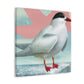 Arctic Tern Brilliance - Canvas