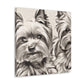 Yorkshire Terrier Majesty - Canvas