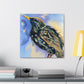 "European Starling Portrait" - Canvas