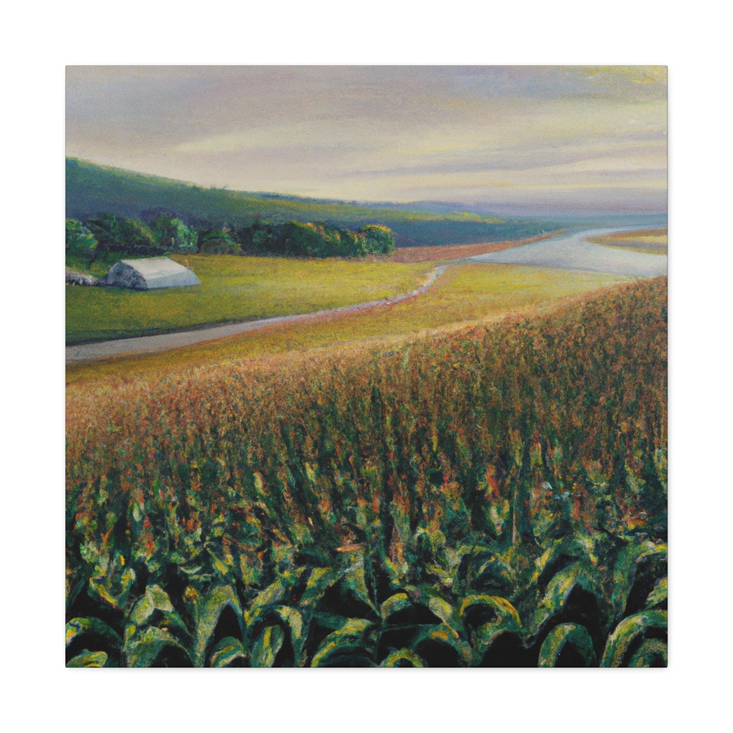 "Corn Field Splendor" - Canvas