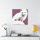 Arctic Fox Duo Bliss - Canvas