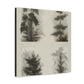 Pine Tree Enchantment - Canvas