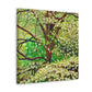 Dogwood in Bloom - Canvas