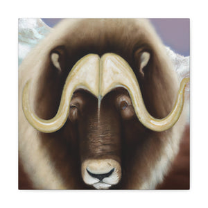 Musk Ox Majestic Power - Canvas