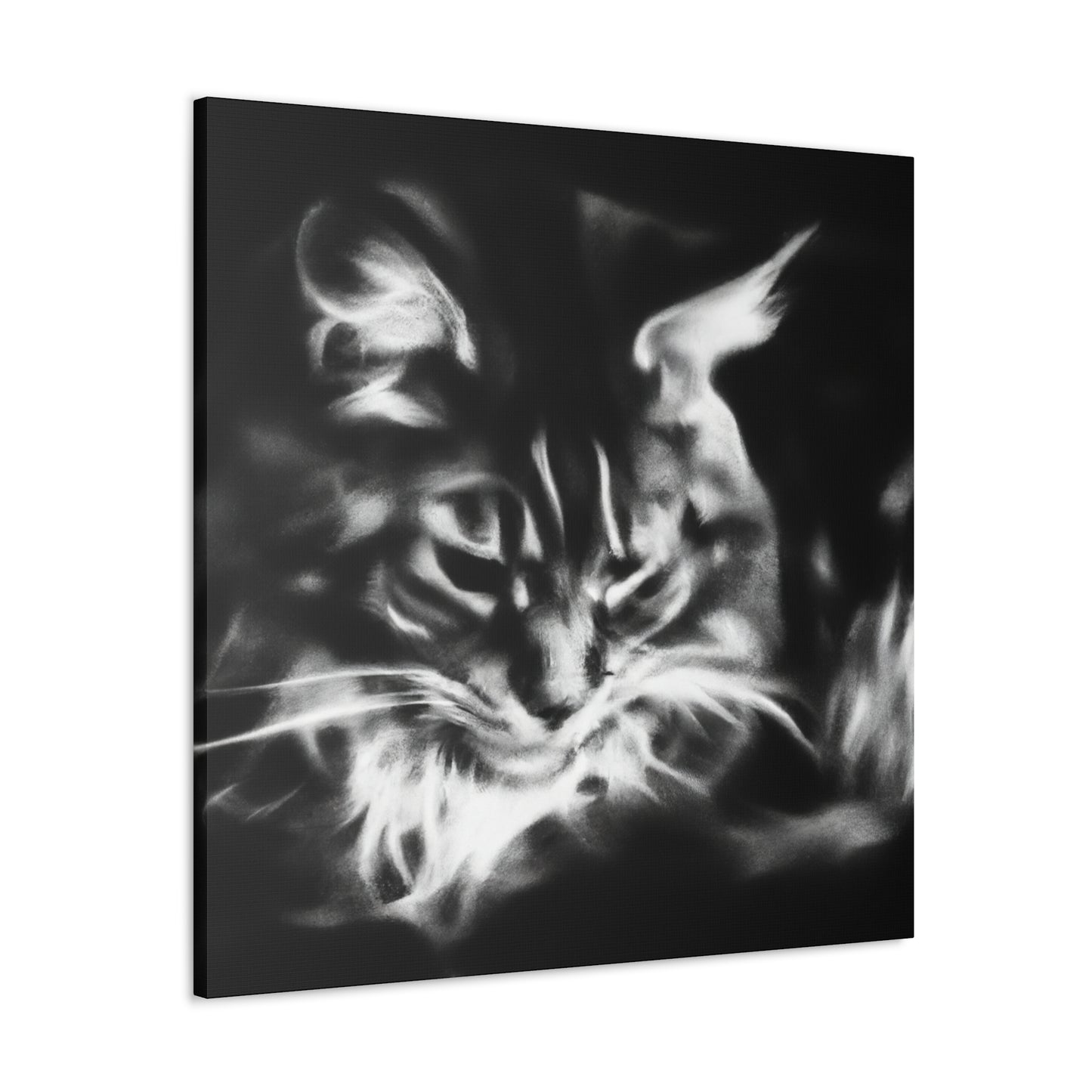 Maine Coon Expressionism - Canvas