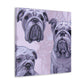 Bulldog in Abstraction - Canvas