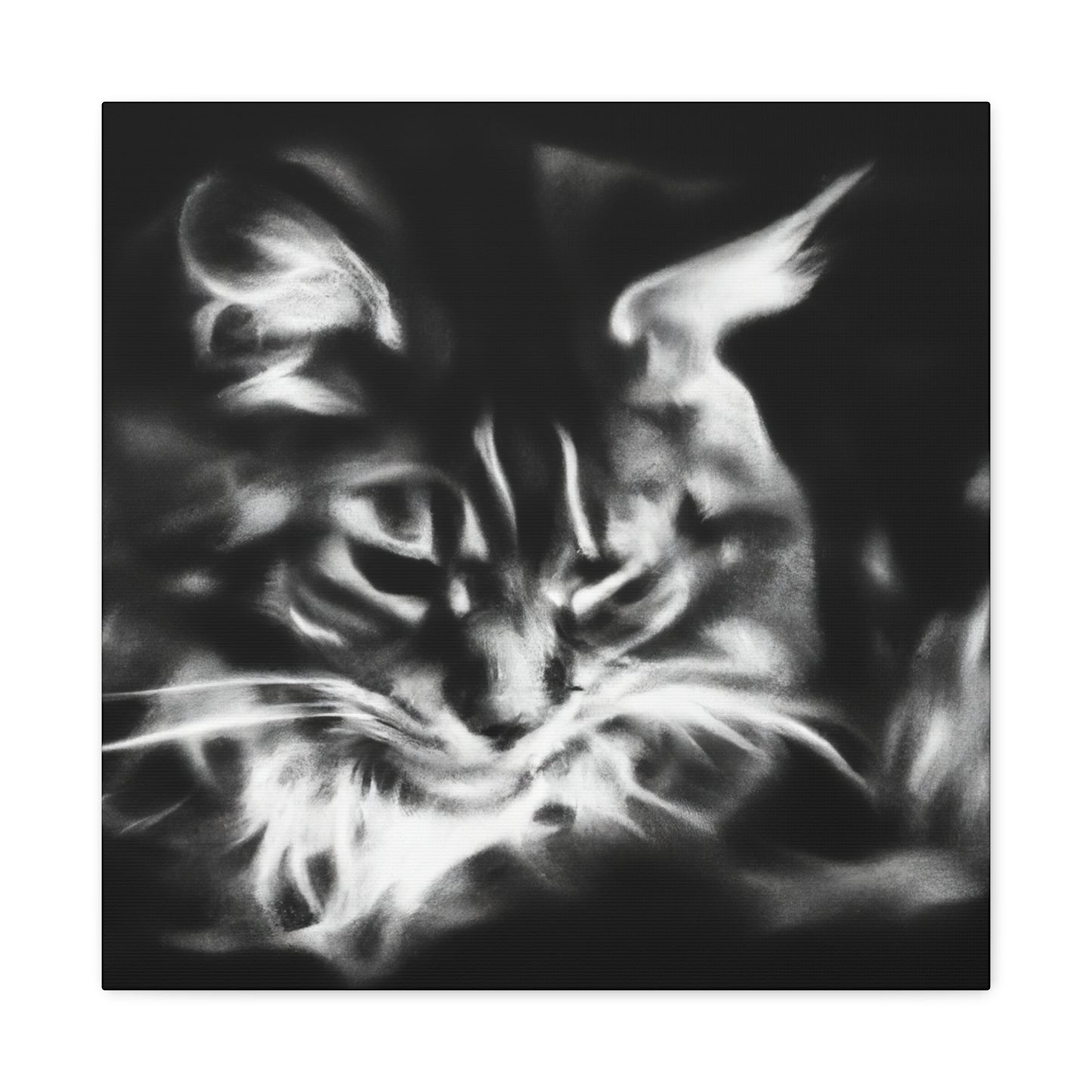 Maine Coon Expressionism - Canvas