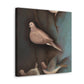 "Mourning Dove In Mourning" - Canvas