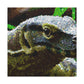 Komodo Dragon Reflection - Canvas