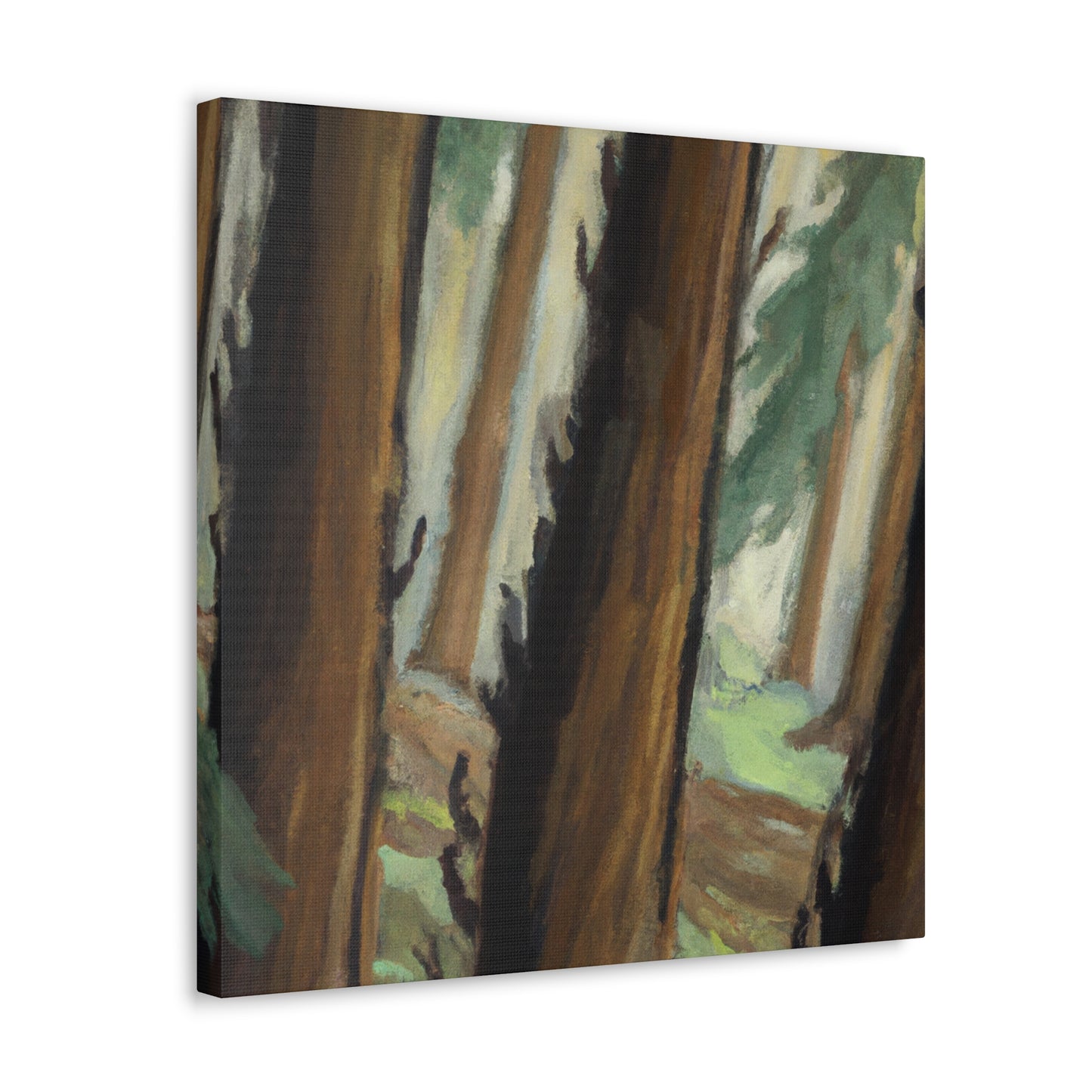 Redwood in Bloom. - Canvas