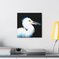 Snowy Egret Memory. - Canvas