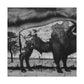 Bison on the Prairie - Canvas