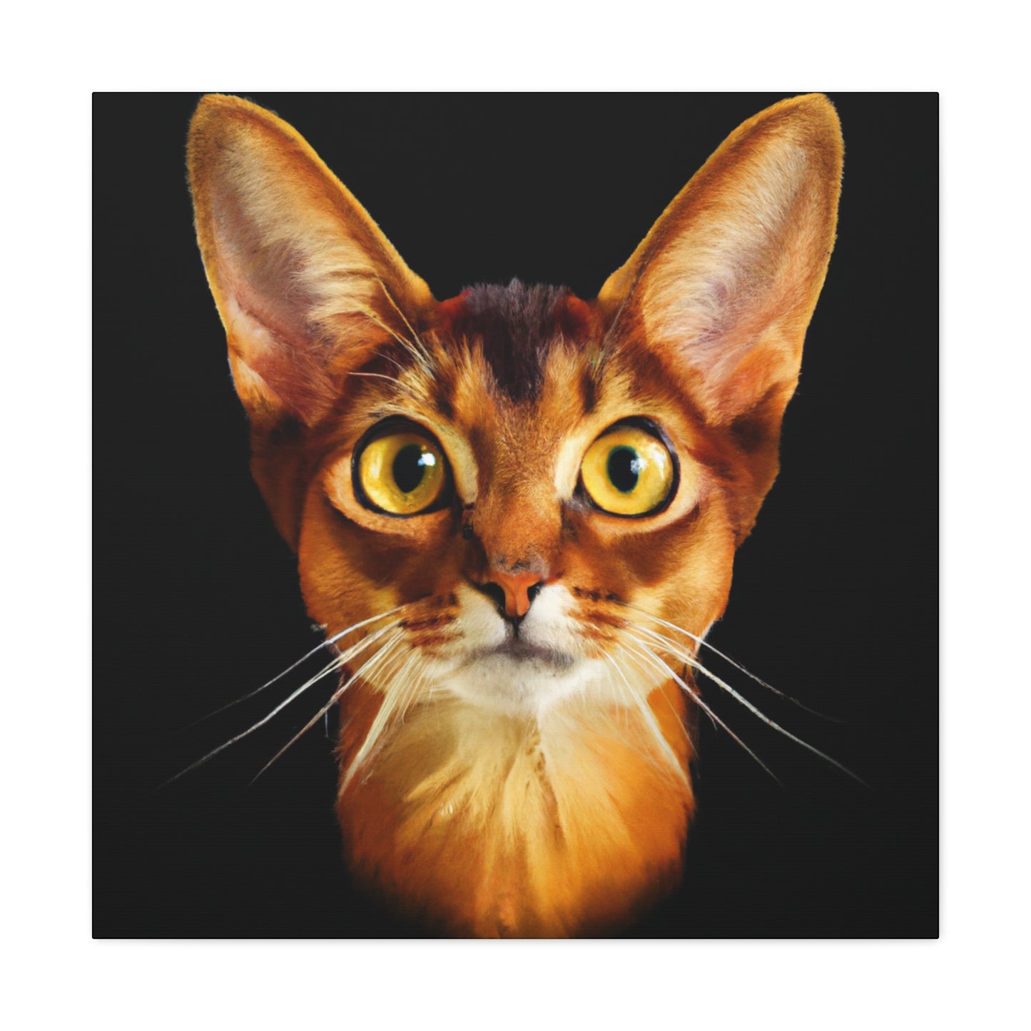 Abyssinian Reflection Realism - Canvas