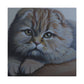 Scottish Folds Purrfection - Canvas