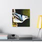 "White Breasted Nuthatch" - Canvas