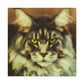 Maine Coon Majesty - Canvas